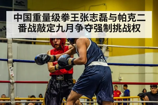 中国重量级拳王张志磊与帕克二番战敲定九月争夺强制挑战权