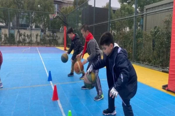 巴黎-图尔自行车赛范德普尔与范阿尔特争冠终极对决全景前瞻解析